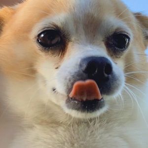 Meet your Posher, Jackie